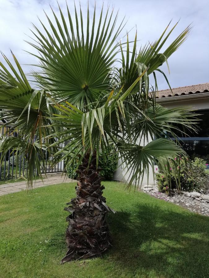 Hotel Kyriad Cap Sud Avignon Eksteriør bilde
